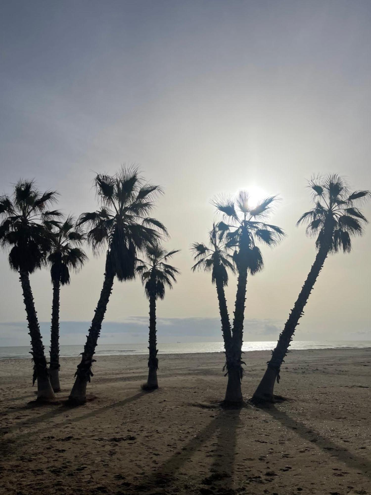 Agh Canet Canet d'En Berenguer Exteriér fotografie